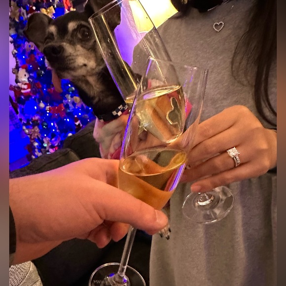 Meet your Posher, Regina! - Picture 9 of 16